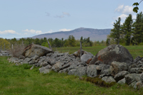 Mt. Monadnock - Witt Hill Rd Stone Wall 2 - Spring